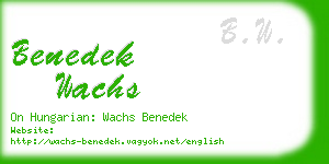 benedek wachs business card